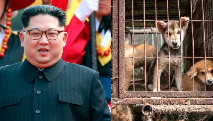 Corea del Norte ordena entregar perros de compañía a restaurantes por escacez de alimentos