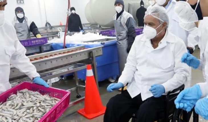 Ecuador no tiene notificación de China sobre nuevo caso de camarón con COVID-19