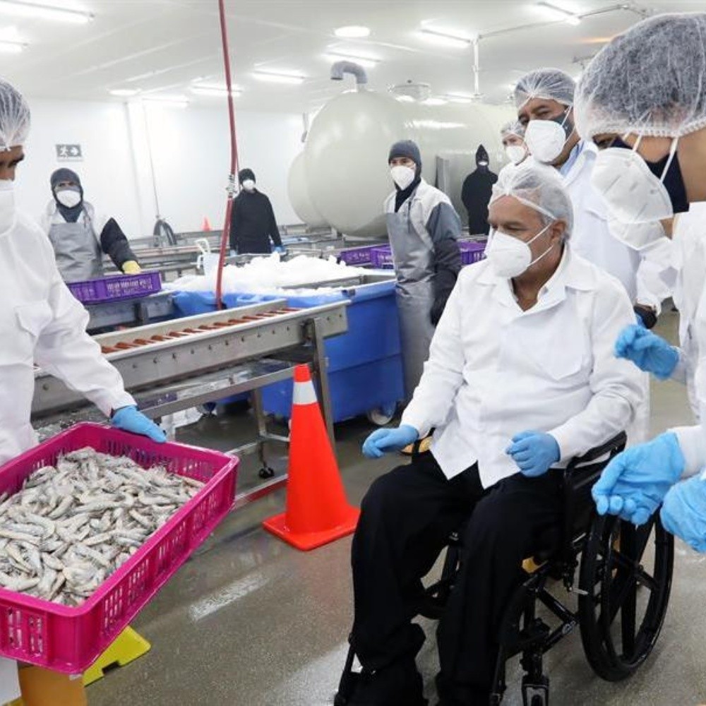 Ecuador no tiene notificación de China sobre nuevo caso de camarón con COVID-19
