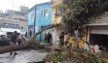 Encharcamientos, caída de árboles y alertas por fuerte lluvia en CDMX