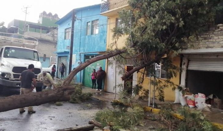 Encharcamientos, caída de árboles y alertas por fuerte lluvia en CDMX
