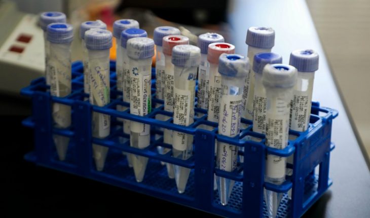 Gobierno anuncia que comenzará fase 3 para probar vacuna contra el Covid-19 en Chile