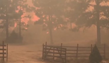 Incendio forestal en Sierra de Juárez ha consumido 2 mil 500 hectáreas