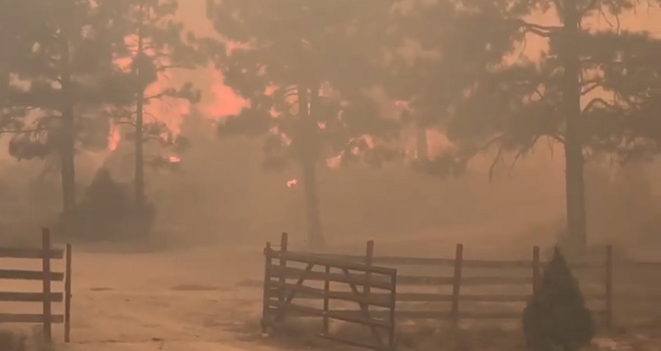 Incendio forestal en Sierra de Juárez ha consumido 2 mil 500 hectáreas