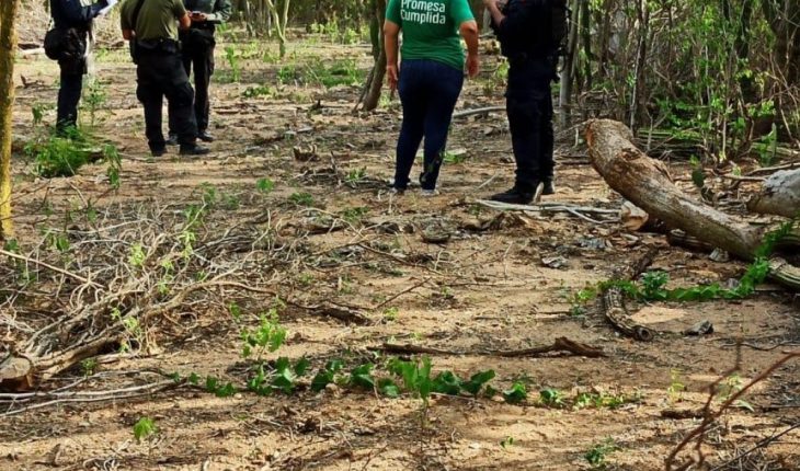 Rastreadoras localizan osamenta en El Fuerte, Sinaloa