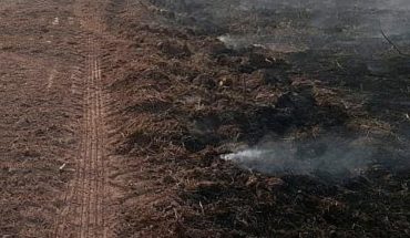 translated from Spanish: Brazilian pantanal records its worst fires in July with severe drought