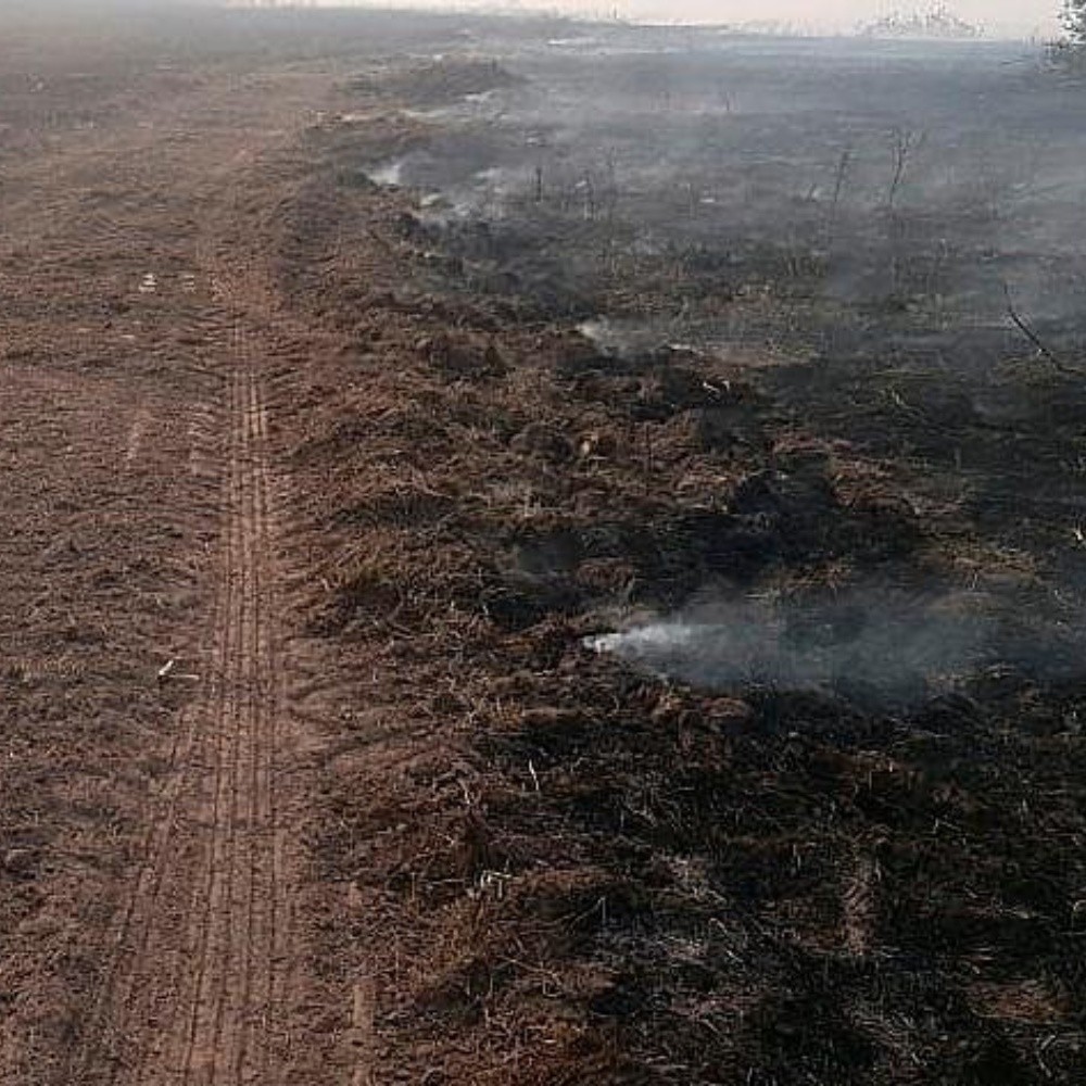 Brazilian pantanal records its worst fires in July with severe drought