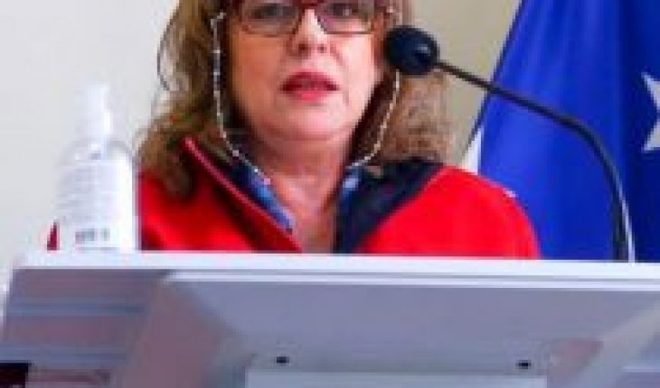 translated from Spanish: Magellan Health Seremi criticizes Paris sayings and resigns from office
