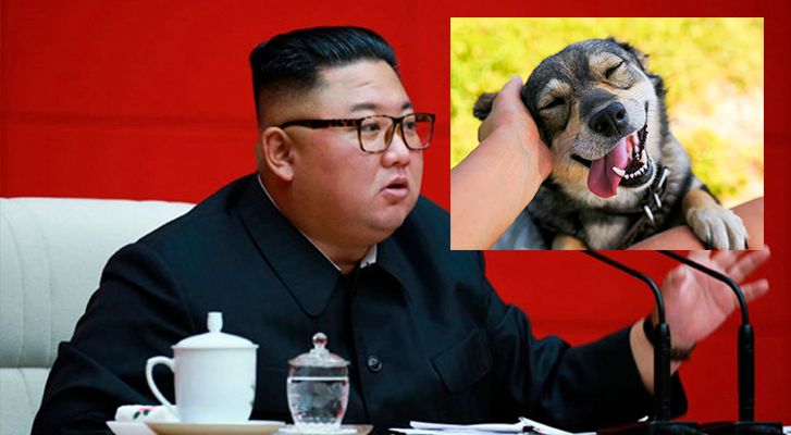 They forbid having dogs as pets in North Korea