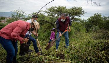 Edil de Morelia y colonos de Vicente Lombardo toledano llevan a cabo segunda jornada de reforestación