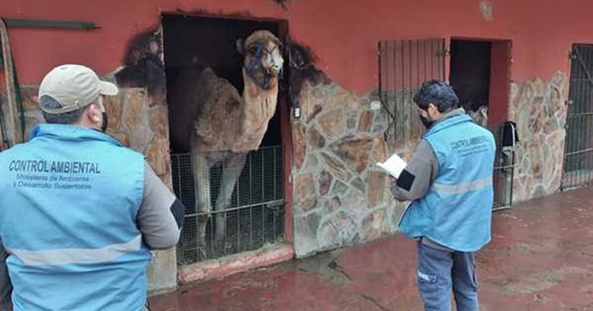 El Gobierno avanza con la clausura del zoológico de Luján