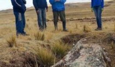 Un árbol fósil reconfigura paisaje de los Andes de hace 10 millones de años