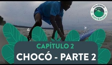 Video: Viajeros por naturaleza: Chocó parte 2 – Caracol Televisión