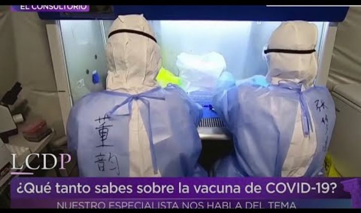 Video: ¿Qué se espera de la vacuna contra el Covid-19? | La Caja de Pandora