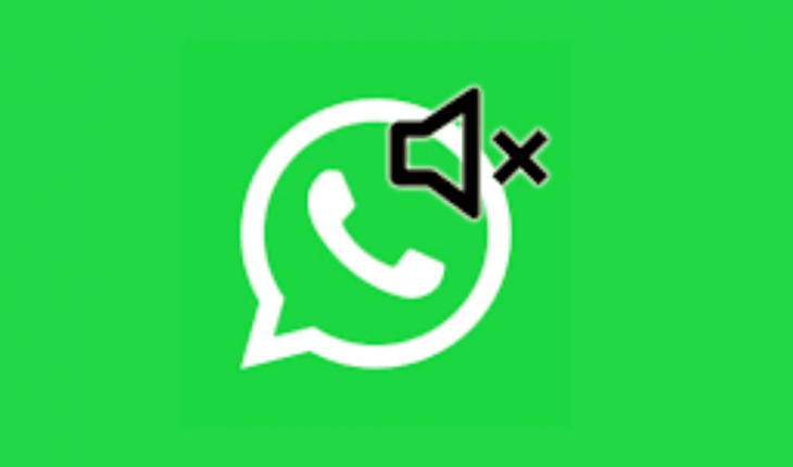 WhatsApp: Cómo saber si un contacto te silenció