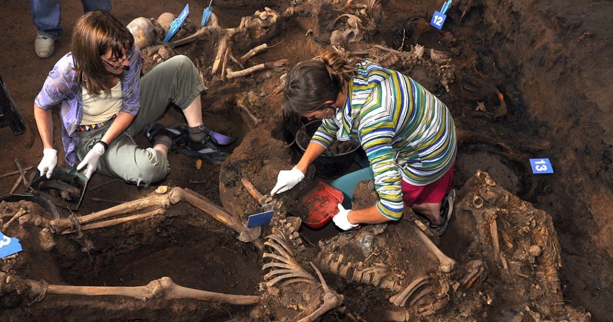 Argentine Forensic Anthropology Team: a constant search for identity