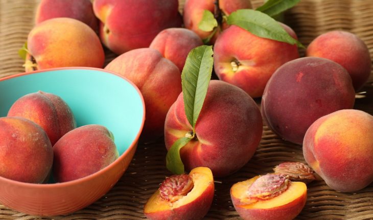 translated from Spanish: Cofepris alert for salmonella outbreak in peaches