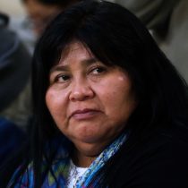 Deputy Nuyado stung against the Government for the announcement of the State Security Act against Mapuche communities for the start of land restitution