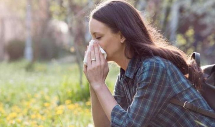 translated from Spanish: Expert confirms suspicions: this spring there is more pollen