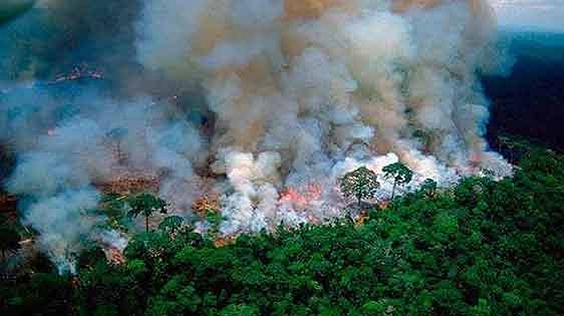 Huge fire burns in Pantanal area in Brazil