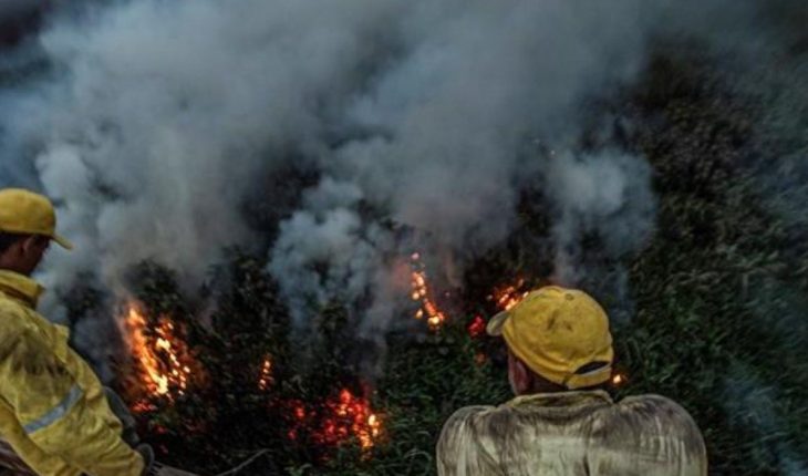 translated from Spanish: Pantanal fires reach record level in Brazil
