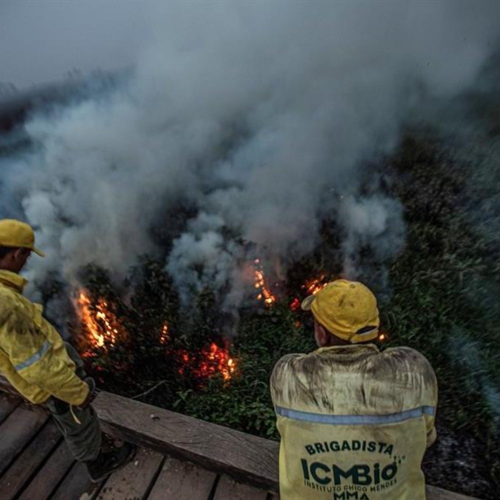 Pantanal fires reach record level in Brazil
