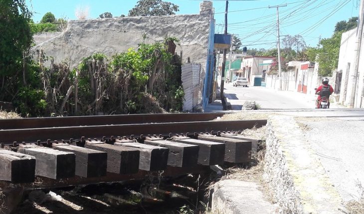 translated from Spanish: We will not leave our houses by the Maya Train: villagers of Campeche
