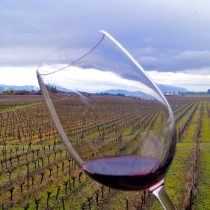 Wine Day commemorates part of national pride for the sixth year in a row