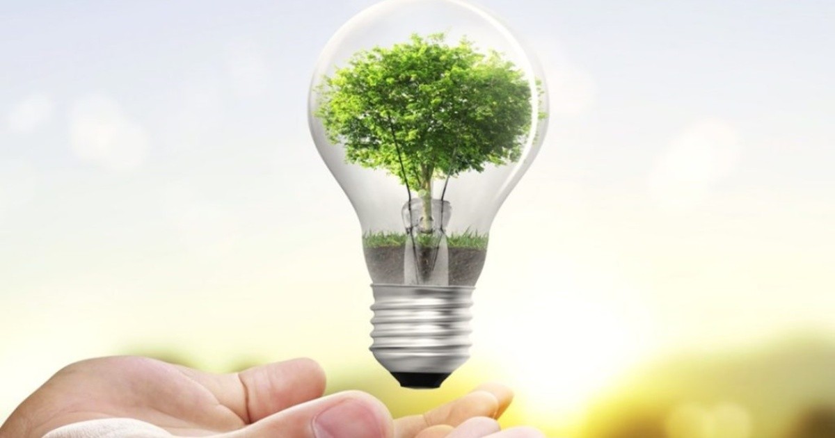 A tomar conciencia: es el Día Mundial del Ahorro de Energía
