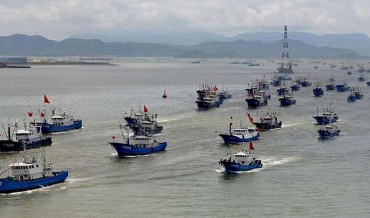 Diputado de la comisión de pesca pidió una acción “determinante, vigilante y permanente” de Chile ante riesgo de flota china