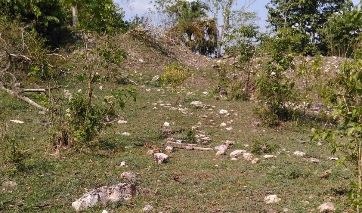 Hallan más de 2 mil vestigios en el trazo del Tren Maya en Campeche