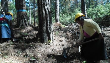 La comunidad indígena que cuida el bosque y construye su futuro