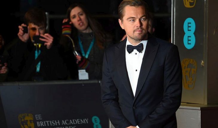 Leonardo DiCaprio celebró nacimiento de “ranitas del Loa” en Chile: “Le han dado al mundo una gran esperanza”