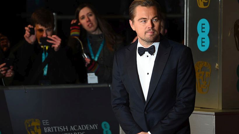 Leonardo DiCaprio celebró nacimiento de "ranitas del Loa" en Chile: "Le han dado al mundo una gran esperanza"