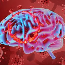 Neurólogo: “Es un hecho que el Covid-19 ataca también a las neuronas e invade el cerebro”