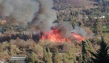 Presidente Piñera presentó plan de protección contra incendios forestales