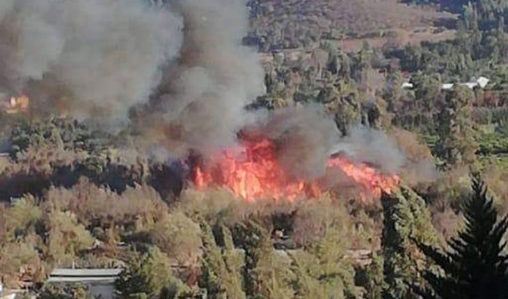 Presidente Piñera presentó plan de protección contra incendios forestales