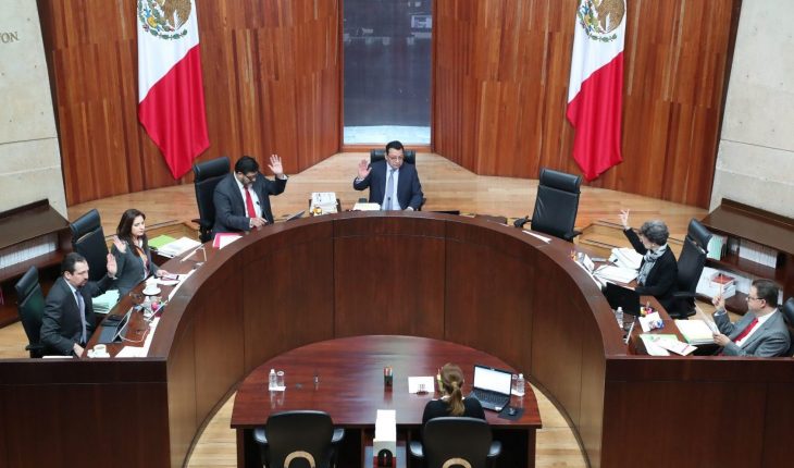 TEPJF acusa a dos funcionarios del INE de afectar el registro de México Libre
