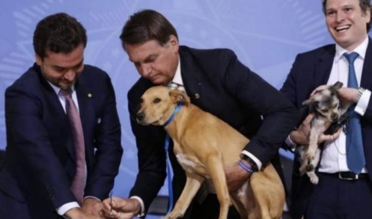 translated from Spanish: Brazil: Bolsonaro enacted a law against Animal Abuse and signed his dog