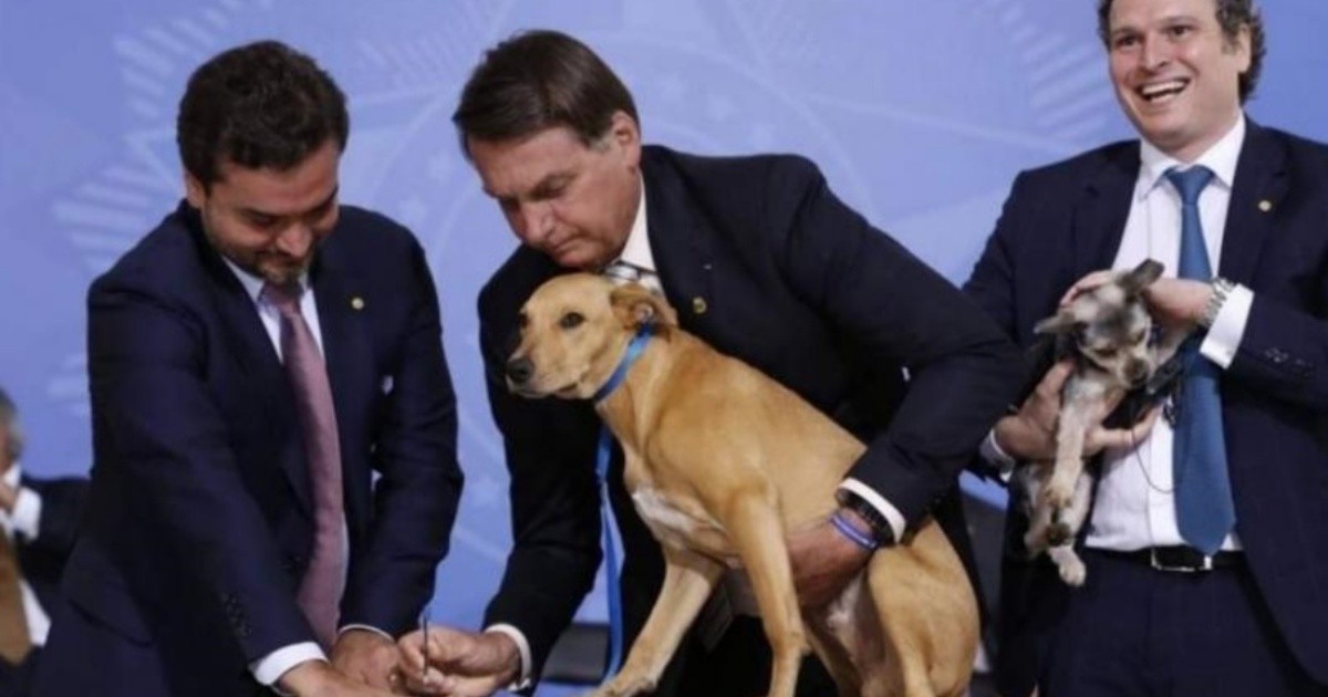 Brazil: Bolsonaro enacted a law against Animal Abuse and signed his dog