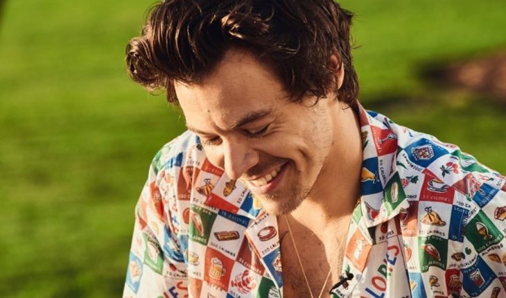 translated from Spanish: Harry Styles advances his new music video