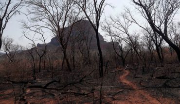 Brasil: deforestación de la Amazonía marca récord desde 2008