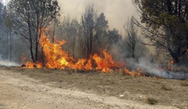 Continúan los incendios forestales en seis provincias