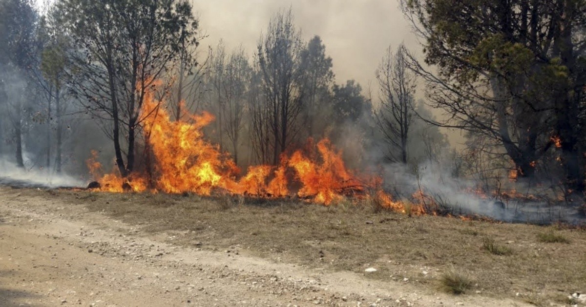 Continúan los incendios forestales en seis provincias