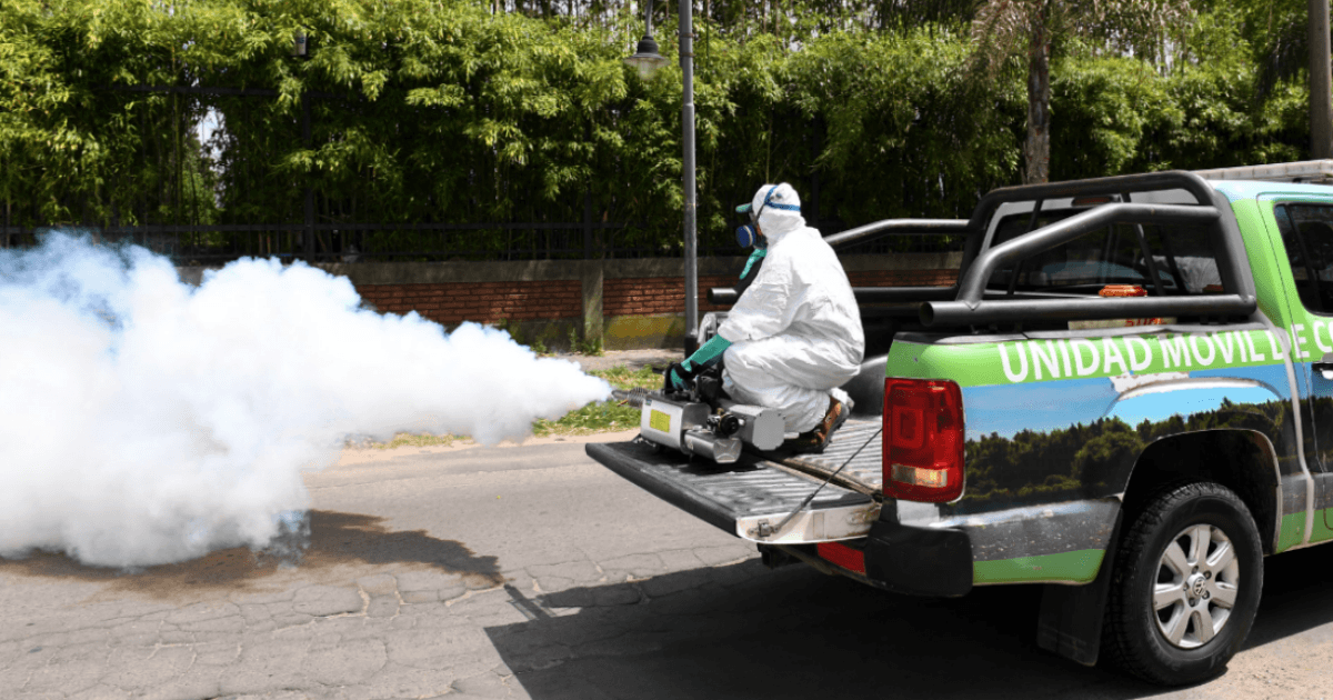Dengue: cuestinonan la efectividad de las campañas de fumigación en la vía pública