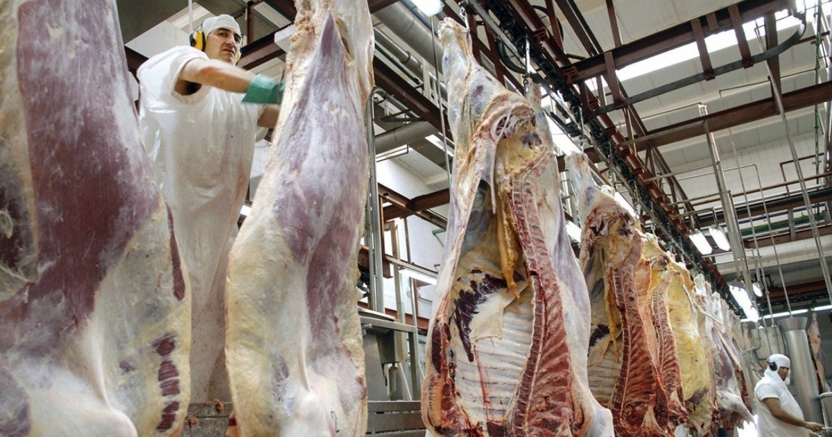 Encontraron COVID-19 en un envío de carne argentina a China