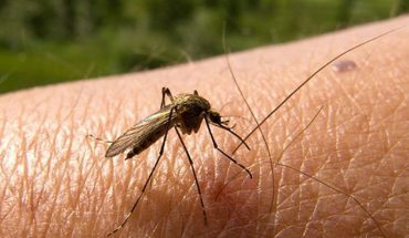 Rebasa Michoacán 2 mil casos de dengue