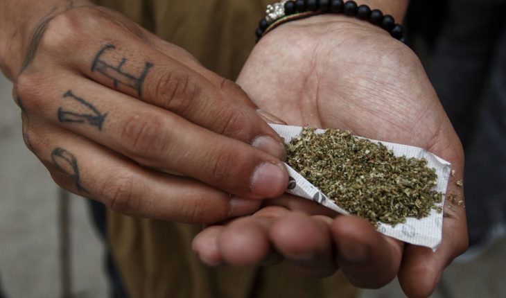 Regulación de la mariguana abre la puerta drogas más peligrosas: Iglesia