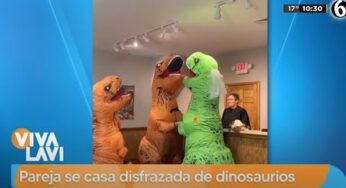 Video: Pareja se casa disfrazada de dinosaurios | Vivalavi