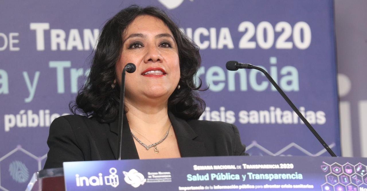 COVID 'came as a ring to the finger' to fight corruption: Irma Sandoval